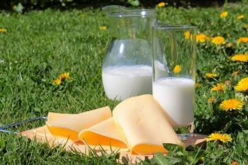 A TOP 8 legfontosabb mítosza a tejről