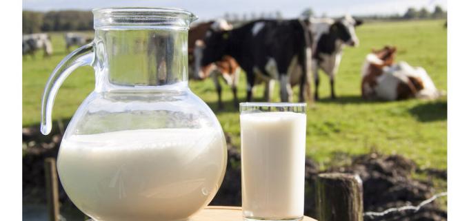 UHT tej, hogy ne megfagy. Képek - Yandex. képek
