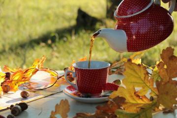 Talán egy kis teát? Főzés őszi tea az egészség és a hangulat