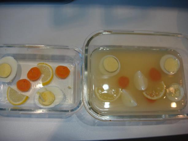 Kép venni a szerző (közzététel citrom, tojás, sárgarépa, húsleves elöntött) 