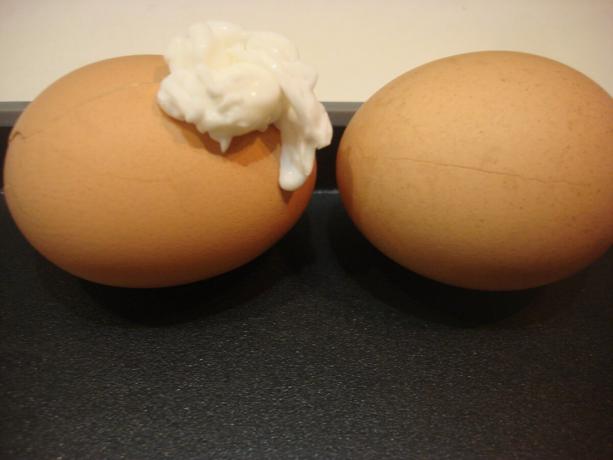 Kép venni a szerző (bal egyszerűen repedt tojás, jobbra kikent citrom)