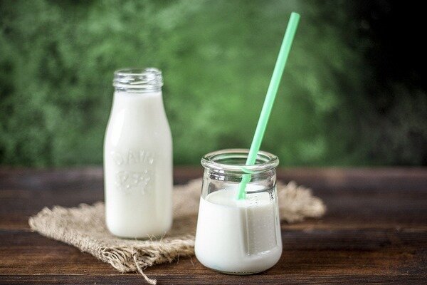Erjesztett tejtermékek - probiotikus szállítók (Fotó: Pixabay.com)