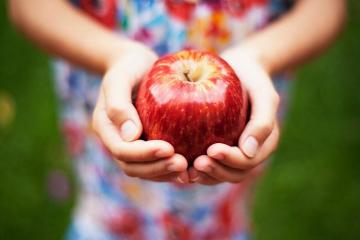 Treat alma: vesekő, visszér, szívinfarktus, stb