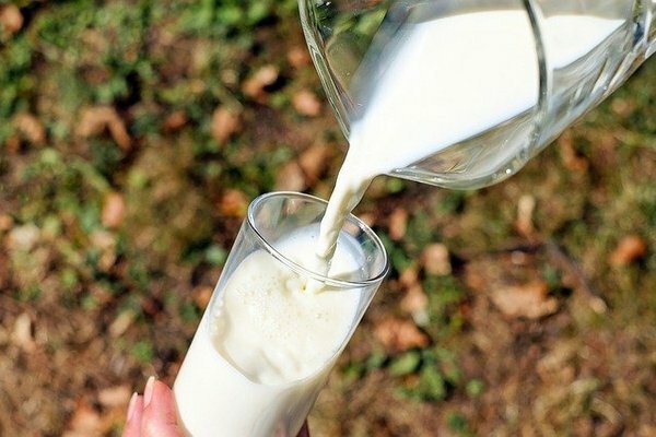 De ha kellemetlen érzéseket érez a gyomorban vagy a belekben egy pohár tej után, akkor jobb megtagadni az erjesztett tejtermékek javára (Fotó: Pixabay.com)