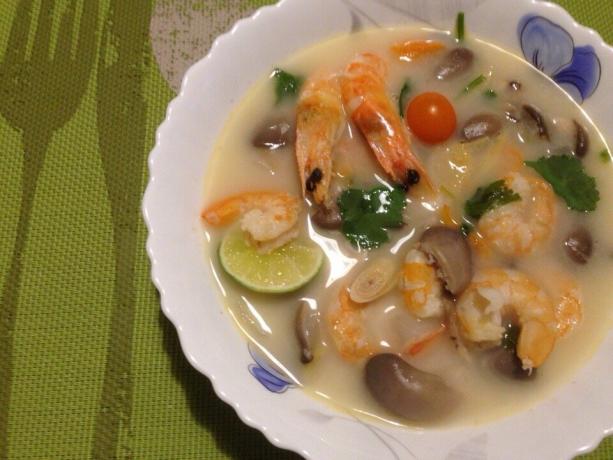 Thaiföldön, próbáltam különböző változatai Tom Yam és bizonyára jó volt. De vajon lehetséges-e, hogy ismételje meg az orosz leves ugyanolyan az íze?