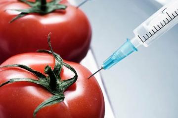 10 GMO étel, amit megeszünk, és nem is ismerünk