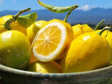 Megfelelően fagyasztott citrom menteni elhízás, rák és a cukorbetegség!