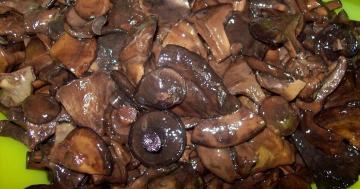 Hogyan kell helyesen és finom marinált gombák svinushki?